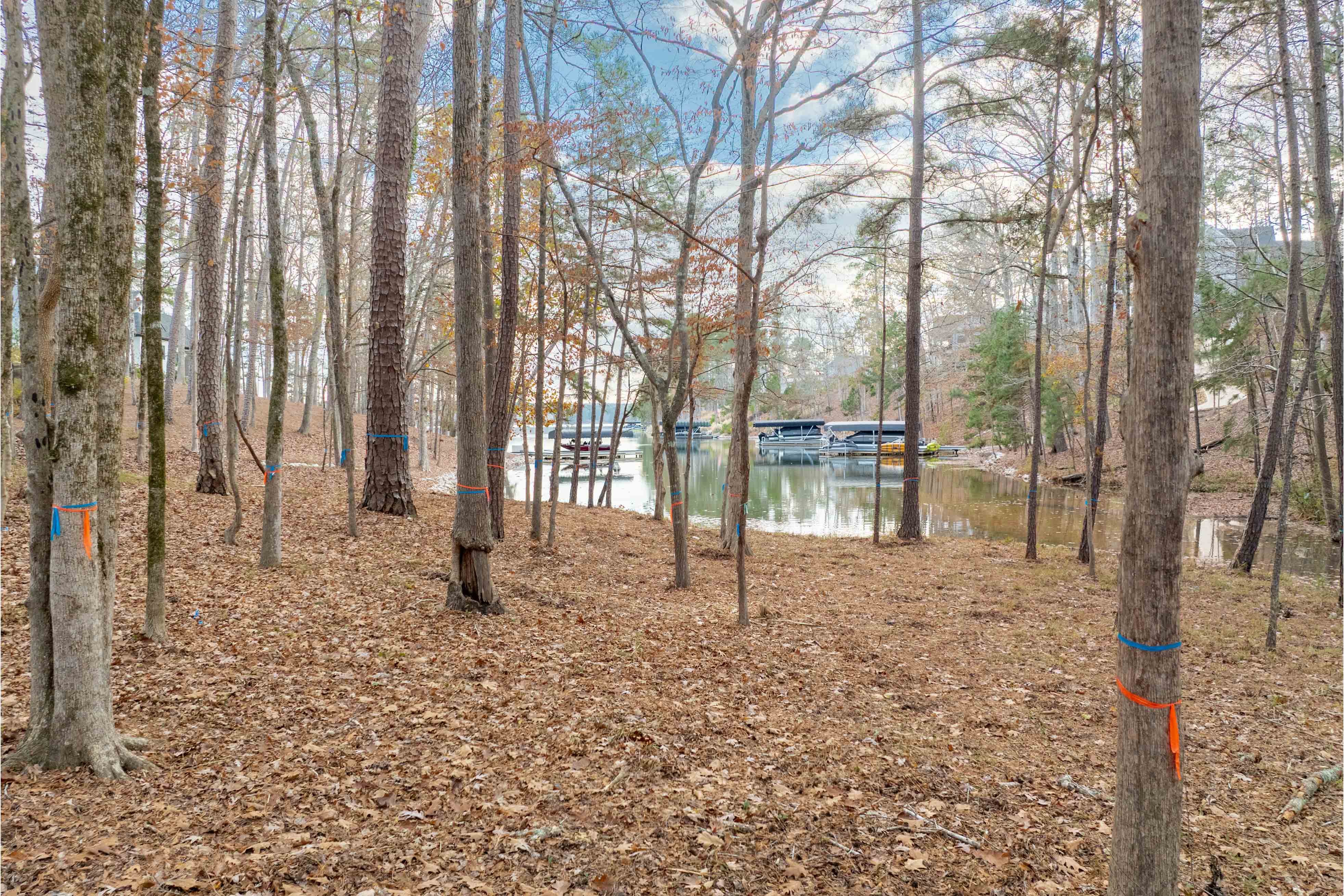 1217 Fox Squirrel Drive image 11